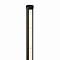 Торшер Maytoni MOD147FL-L20BK1