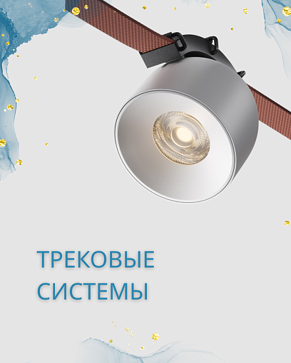 Трековые системы